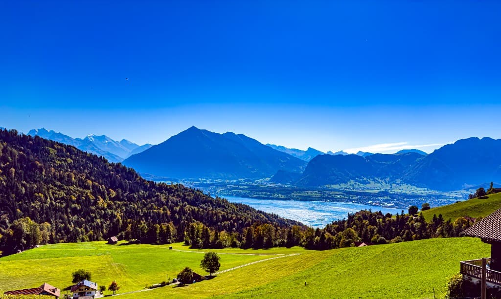 Landschaft am Thunersee mit Wiesen, Wald und Bergkette über dem See